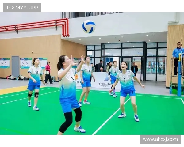 杭州排球队的节奏与魅力探讨聚焦排球的激情与团队协作