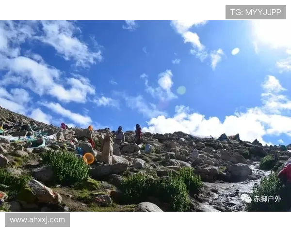 武汉极限运动队的节奏变化与挑战分析探讨 武汉极限运动队的节奏变化与挑战分析探讨