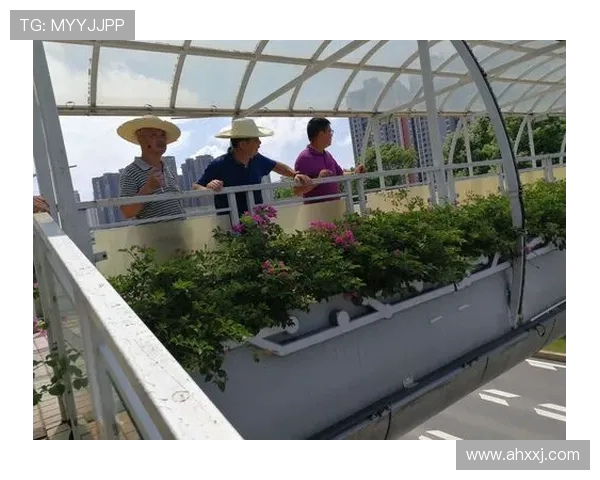 深圳网球队灵活性对比分析探讨与发展潜力评估 深圳网球队灵活性对比分析探讨与发展潜力评估