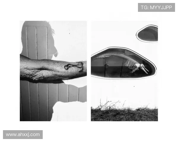 吉布森的艺术世界探秘：从经典到现代的多维视角与影响力分析