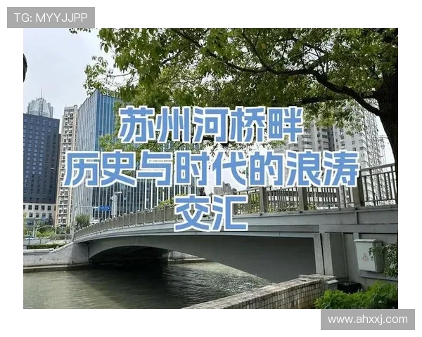 越南平定与同塔的历史交汇与文化碰撞探讨