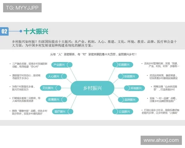 深入分析杭州羽毛球队的运营策略与发展模式探讨