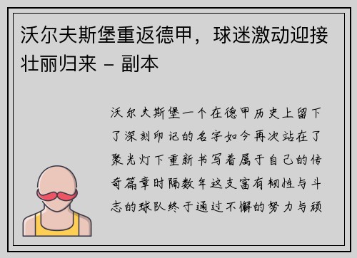 沃尔夫斯堡重返德甲，球迷激动迎接壮丽归来 - 副本